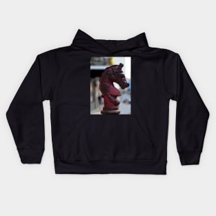 RED HORSE Kids Hoodie